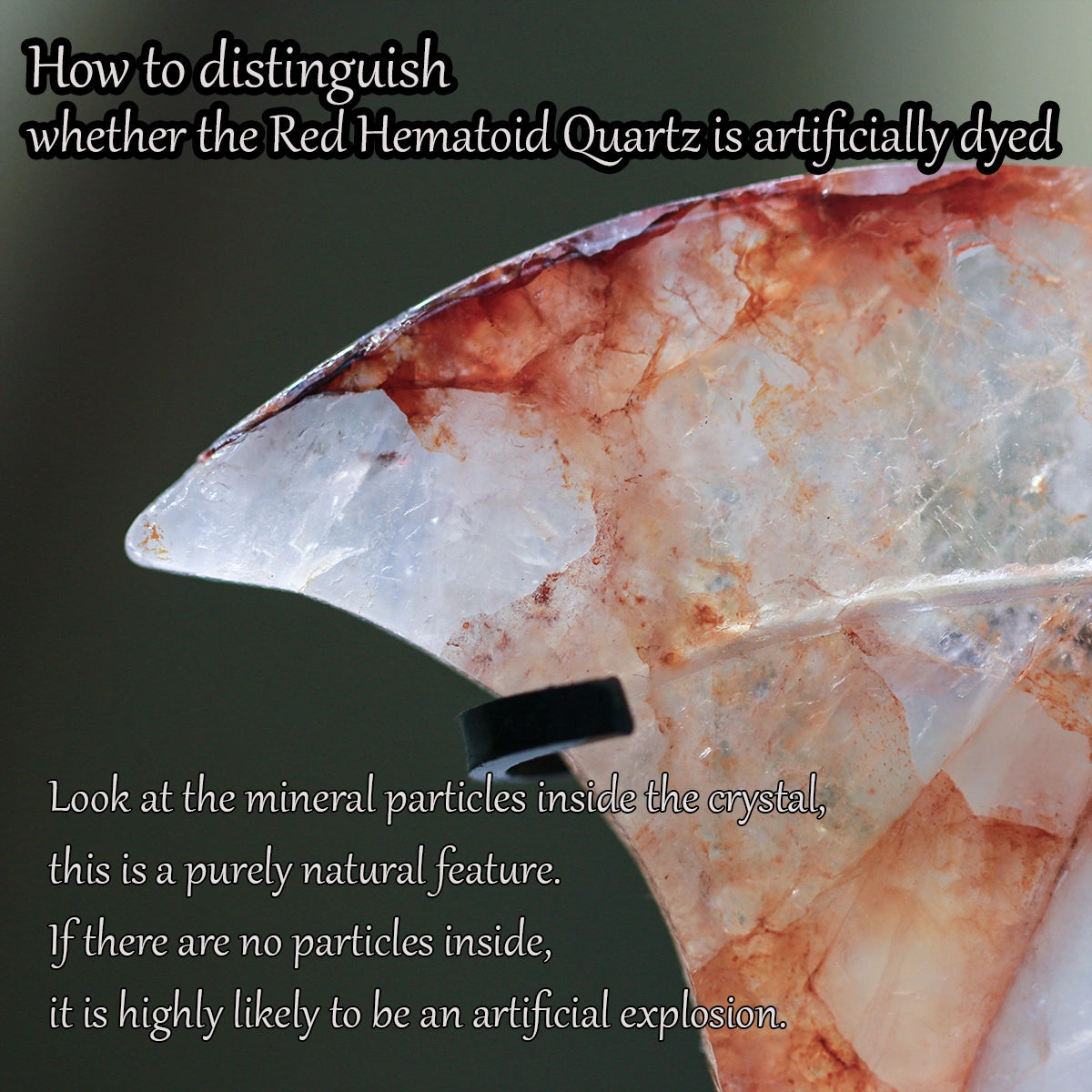 8-inch Fire Quartz Crystal Wings: Red Hematoid Dragon Ornament+free holder,Crystal Healing