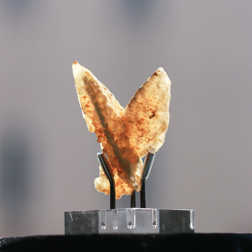 Arrow shaped yellow calcite | cross shaped | collectible | mineral specimen | 100% raw stone | free base