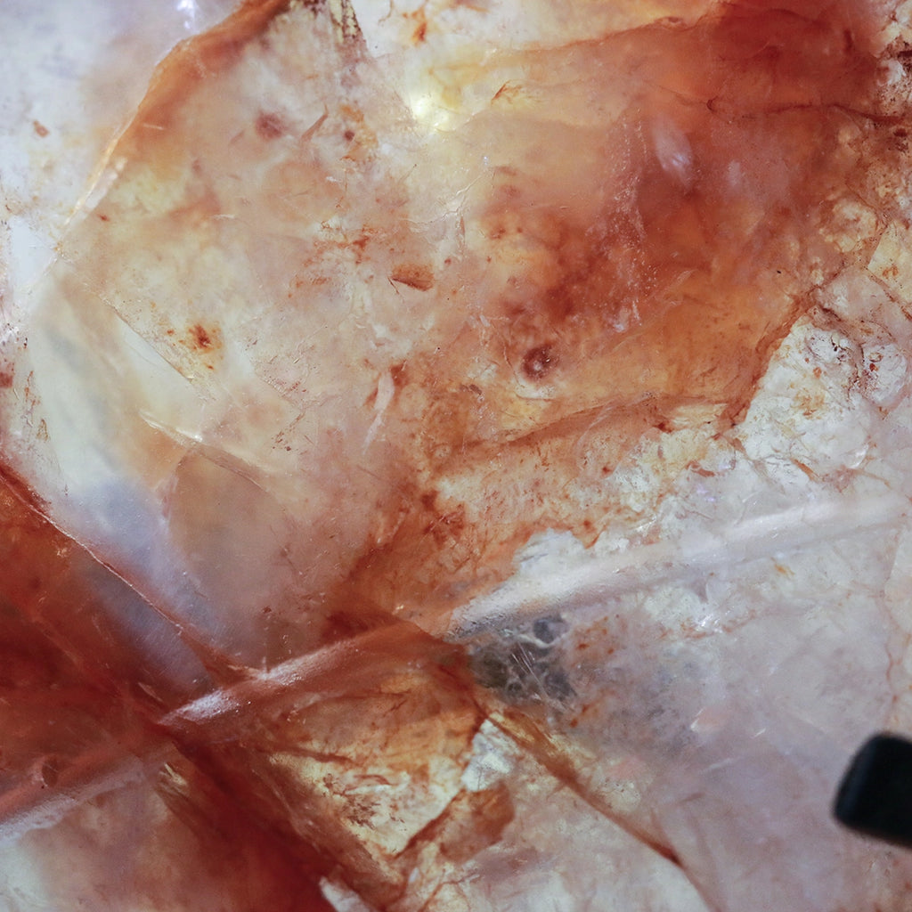 8-inch Fire Quartz Crystal Wings: Red Hematoid Dragon Ornament+free holder,Crystal Healing
