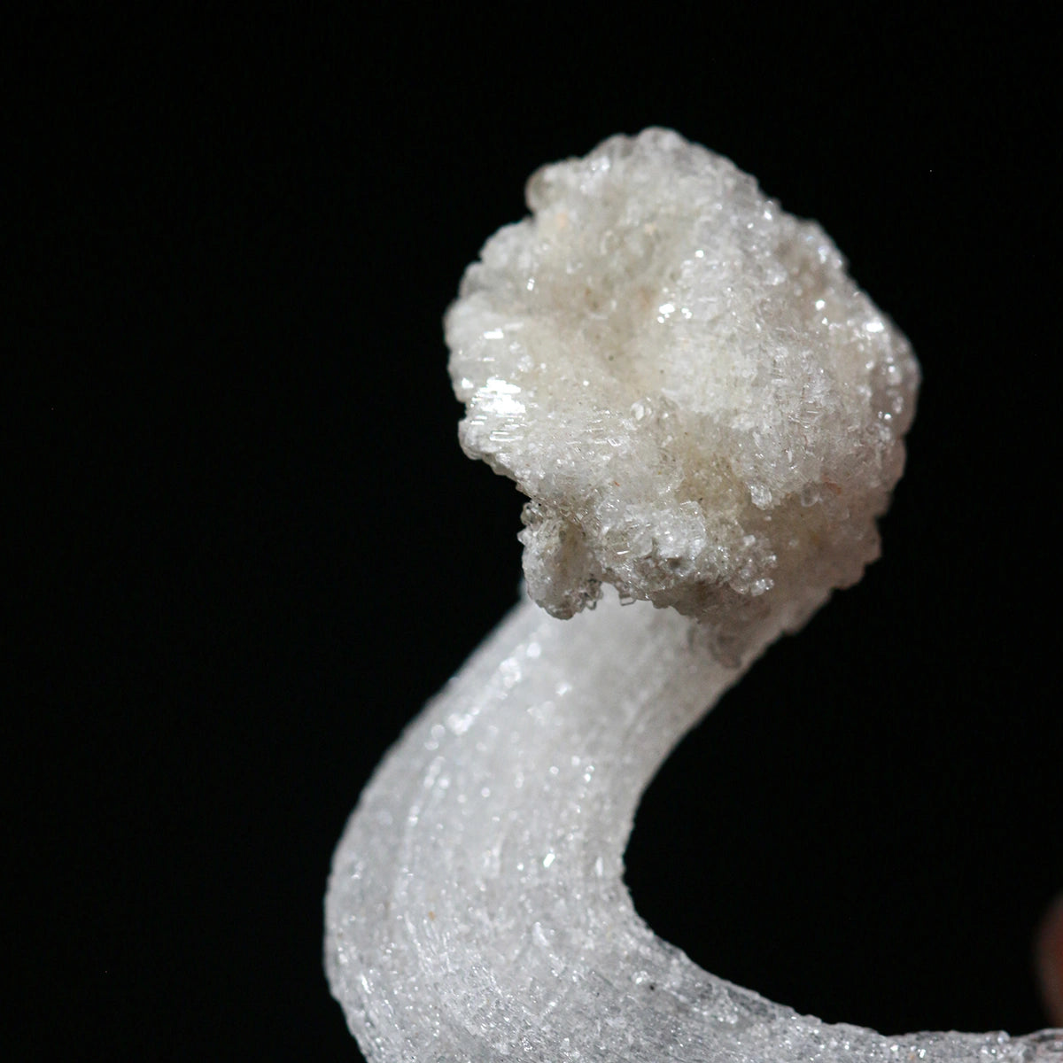 White Selenite Gypsum | "Ram's Horn'' Selenite | earphone shape | Unique design