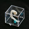 White Selenite Gypsum | "Ram's Horn'' Selenite | earphone shape | Unique design