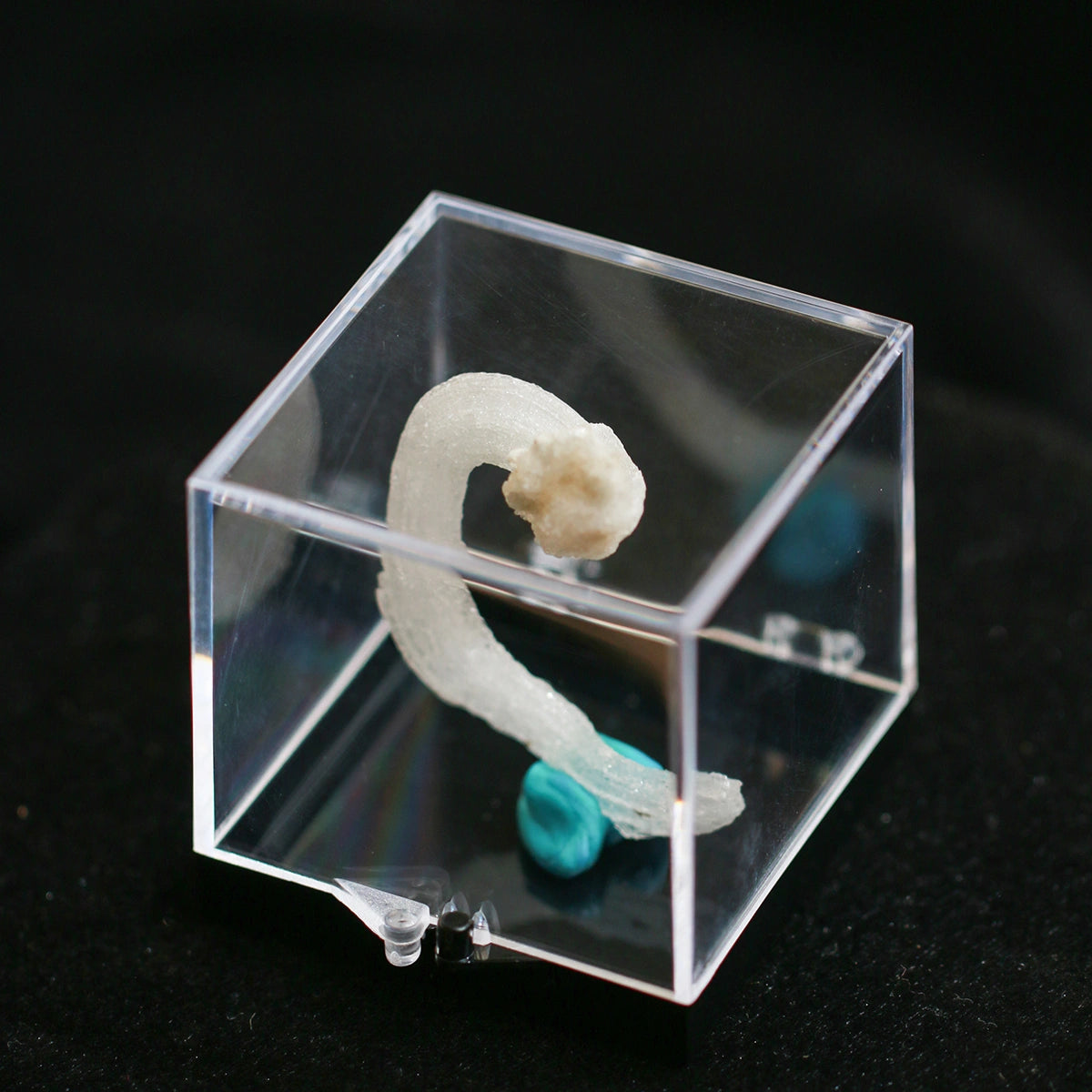 White Selenite Gypsum | "Ram's Horn'' Selenite | earphone shape | Unique design