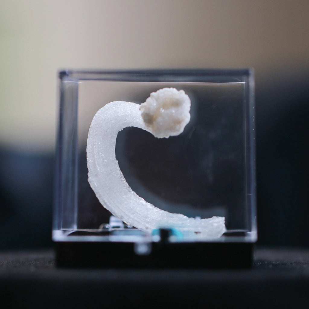White Selenite Gypsum | "Ram's Horn'' Selenite | earphone shape | Unique design