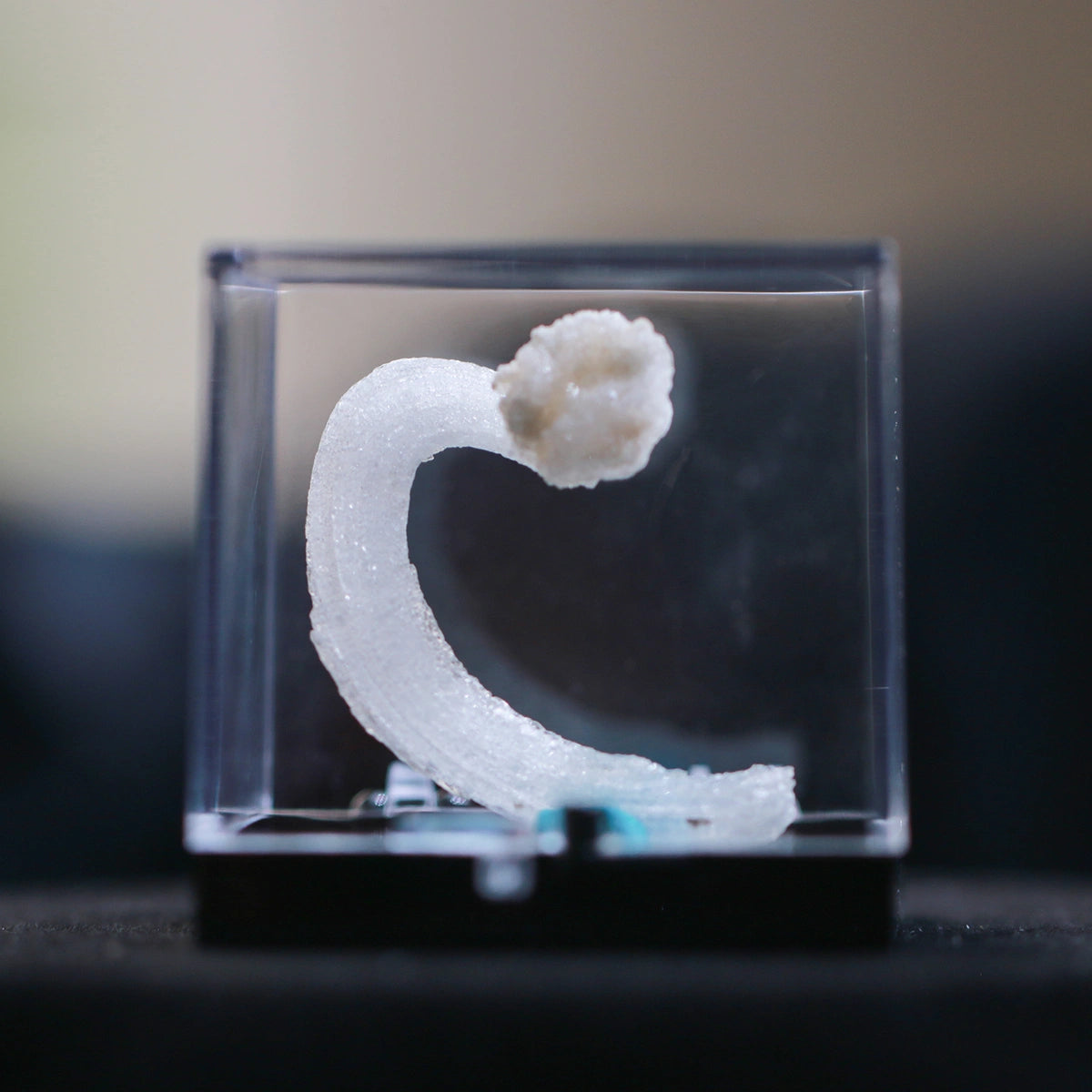 White Selenite Gypsum | "Ram's Horn'' Selenite | earphone shape | Unique design