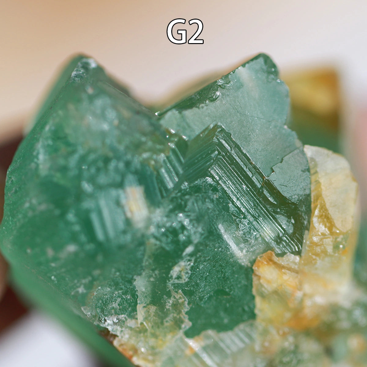 G2-Fluorite, apple green,raw stone, mineral specimen, collection, UV Reactive, Chakra