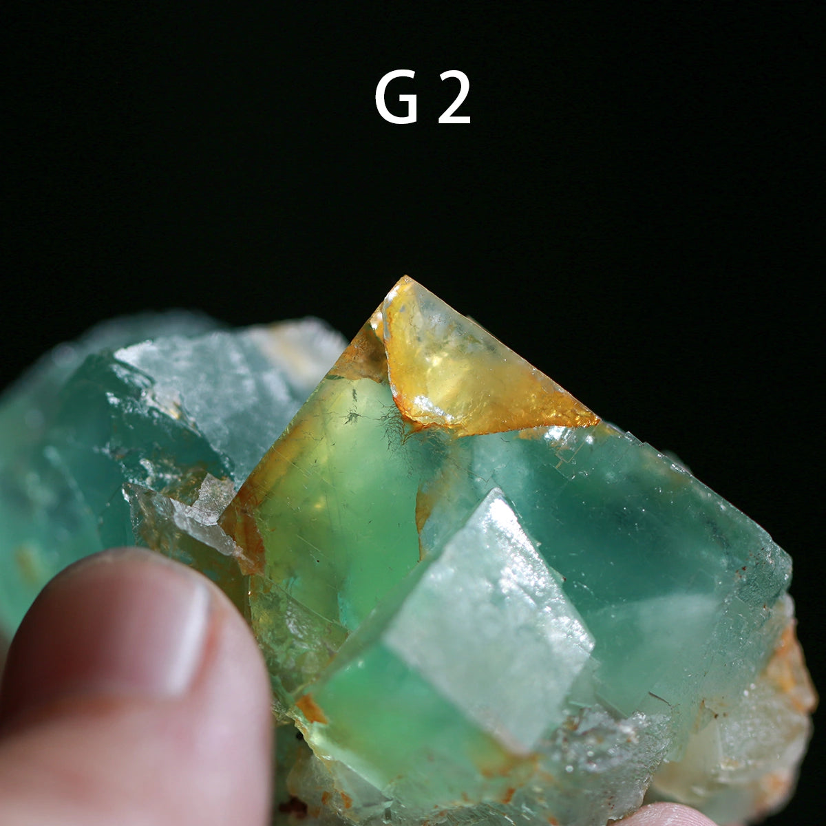 G2-Fluorite, apple green,raw stone, mineral specimen, collection, UV Reactive, Chakra